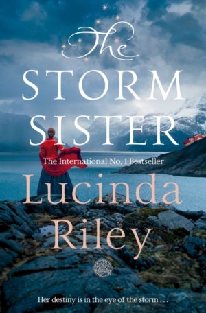 The Storm Sister : Ally's Story
