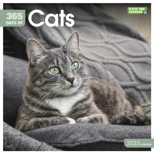 Cats 365 Days Square Wall Calendar 2023 - Plackitt & Booth Booksellers