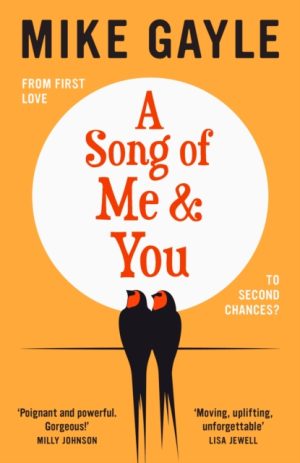 A Song of Me and You : everyone knows this rock star's name: only his first love understands his heart
