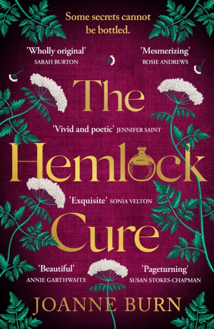 The Hemlock Cure : A beautifully written story of the women of Eyam Jennifer Saint, author of ARIADNE