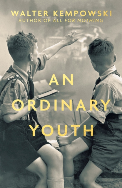 An Ordinary Youth : A Novel