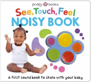 See, Touch, Feel Noisy Book : A first sound book to share with your baby