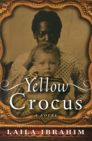 Yellow Crocus : 1