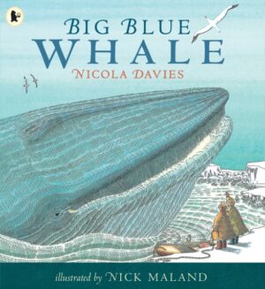 Big Blue Whale : Award-winning picture book about the blue whale, with a gentle story and fascinating facts