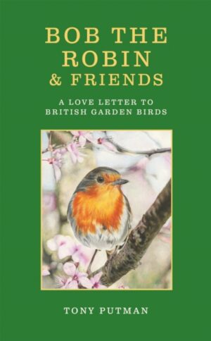 Bob the Robin & Friends : A Love Letter to British Garden Birds